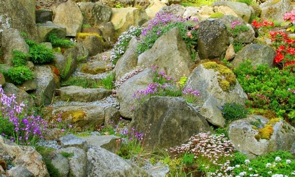 how-to-arrange-rocks-in-a-garden-83_16 Как да подредите камъни в градината