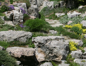 how-to-build-a-garden-rockery-01 Как да се изгради градина алпинеум