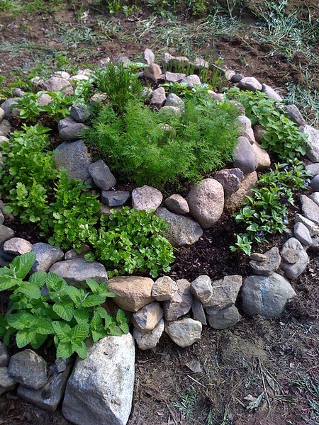how-to-create-a-rock-garden-09_4 Как да създадете алпинеум