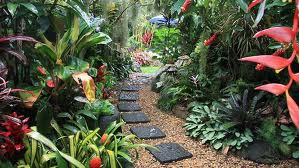 Как да създадете тропическа градина
