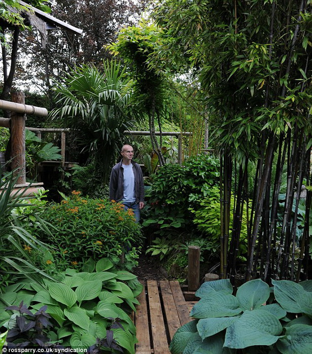 how-to-create-a-tropical-garden-63_12 Как да създадете тропическа градина