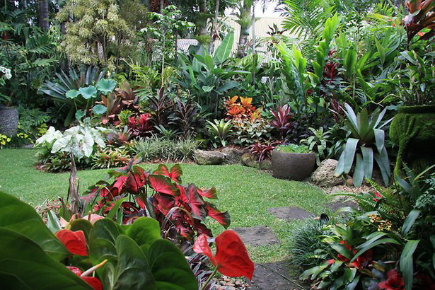 how-to-create-a-tropical-garden-63_3 Как да създадете тропическа градина
