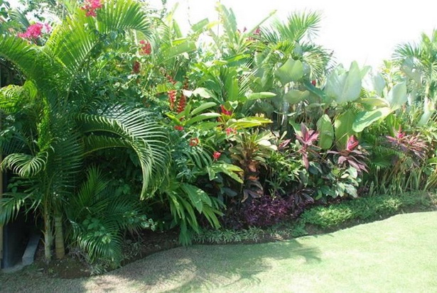 how-to-design-a-tropical-garden-80_13 Как да проектираме тропическа градина