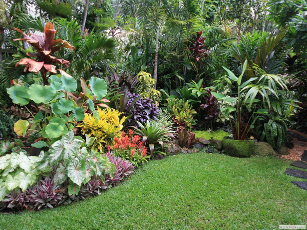 how-to-design-a-tropical-garden-80_17 Как да проектираме тропическа градина