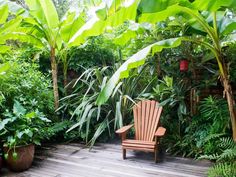 how-to-design-a-tropical-garden-80_19 Как да проектираме тропическа градина