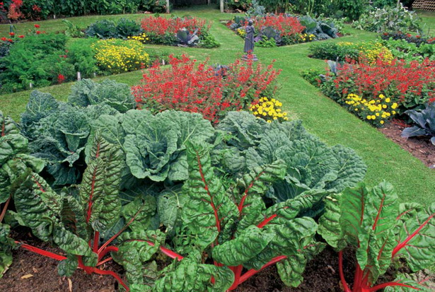 how-to-design-your-garden-landscape-40_10 Как да проектирате градината си пейзаж