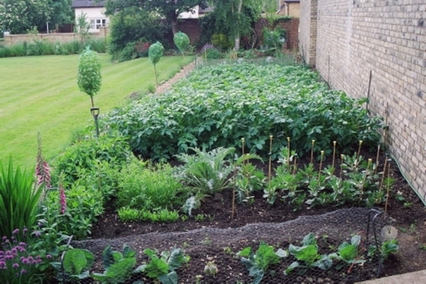 how-to-design-your-garden-35_15 Как да проектирате градината си