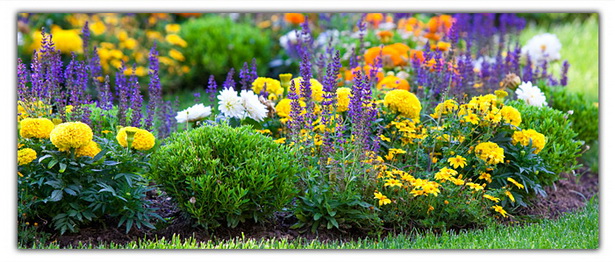 how-to-landscape-a-flower-bed-96_14 Как да ландшафт цветна леха