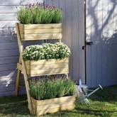 ideas-for-a-small-garden-with-pictures-59_9 Идеи за малка градина със снимки