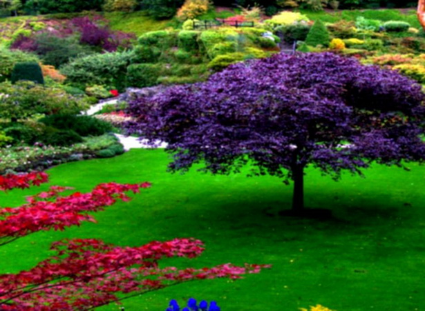 ideas-for-beautiful-gardens-43_2 Идеи за красиви градини