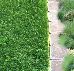 ideas-for-edging-lawns-16_14 Идеи за Кант тревни площи