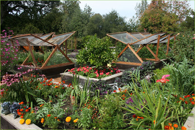 ideas-for-garden-design-on-a-budget-12_19 Идеи за градински дизайн на бюджет