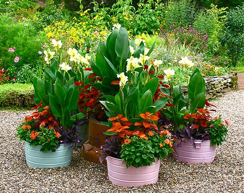 ideas-for-garden-planters-17_8 Идеи за градински саксии