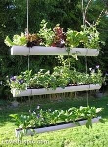 ideas-for-gardens-on-a-budget-94_6 Идеи за градини на бюджет