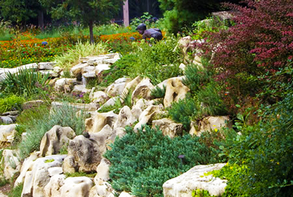 ideas-for-landscaping-with-rocks-32_10 Идеи за озеленяване с камъни