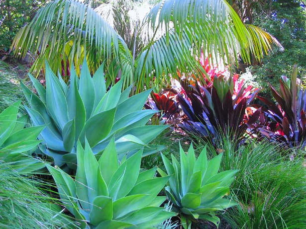 ideas-for-tropical-gardens-75_12 Идеи за тропически градини