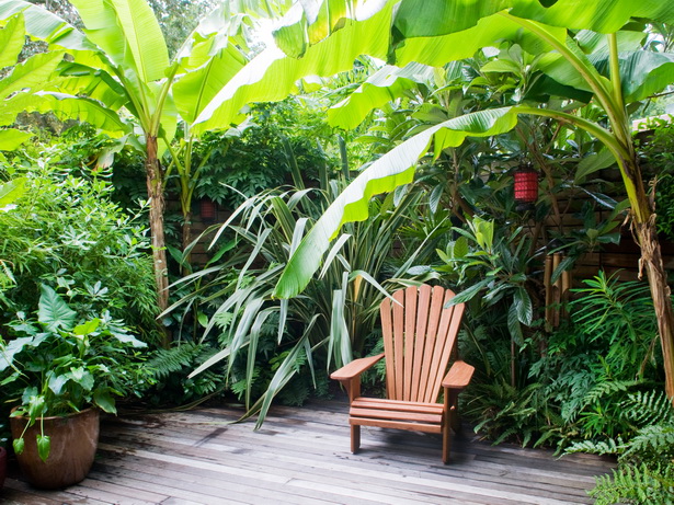 ideas-for-tropical-gardens-75_17 Идеи за тропически градини
