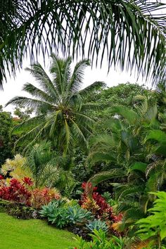 ideas-for-tropical-gardens-75_19 Идеи за тропически градини