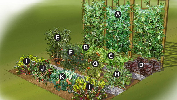 ideas-for-vegetable-garden-80_11 Идеи за зеленчукова градина