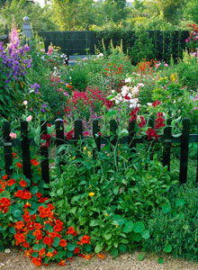 images-of-cottage-gardens-95_17 Снимки на къща градини