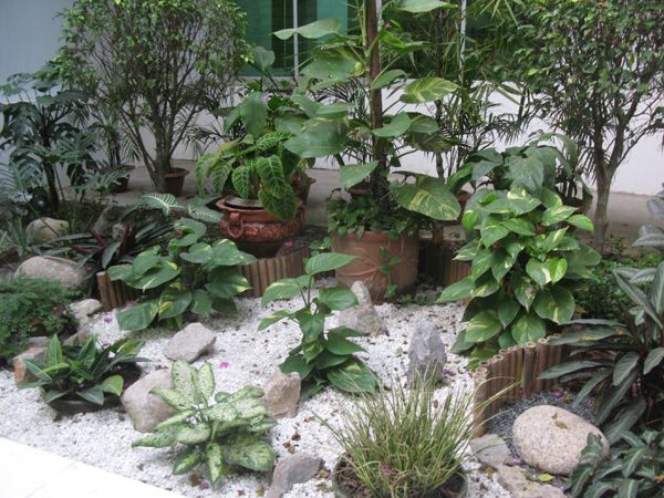 indoor-rock-garden-ideas-55_15 Закрит алпинеум идеи