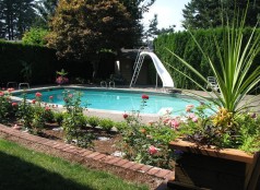 inground-swimming-pool-landscaping-ideas-48_5 Идеи за озеленяване на вътрешен басейн