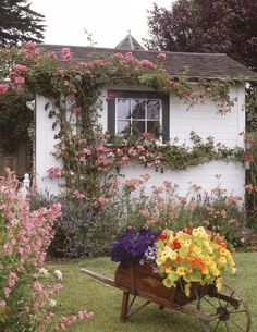 irish-cottage-gardens-43_6 Ирландски Къщички градини