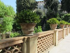 italian-courtyard-garden-design-ideas-79_9 Италиански двор градински дизайн идеи