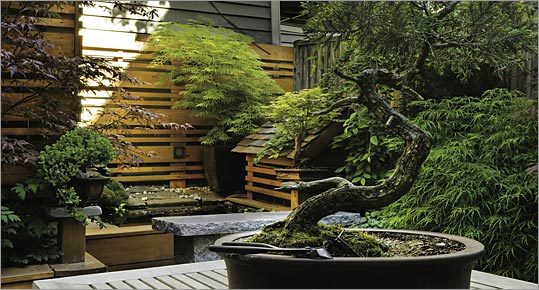 japanese-backyard-garden-12_18 Японски двор градина