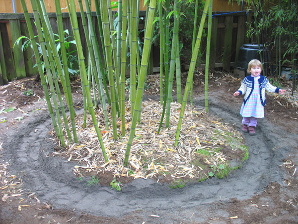 japanese-bamboo-garden-design-19_15 Японски бамбук градина дизайн