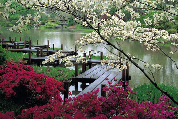 japanese-botanical-garden-31 Японска ботаническа градина