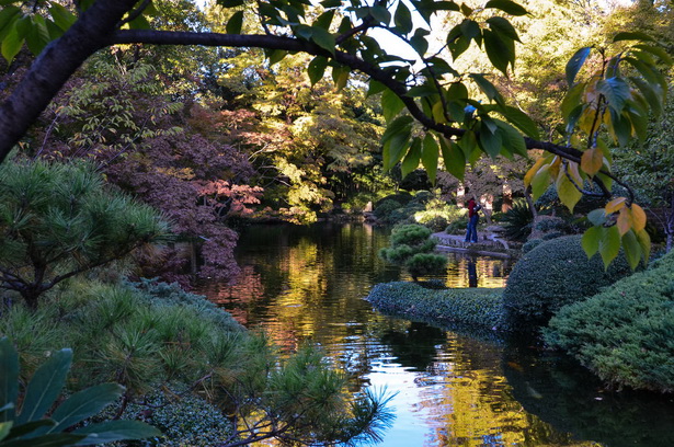 japanese-botanical-garden-31_12 Японска ботаническа градина