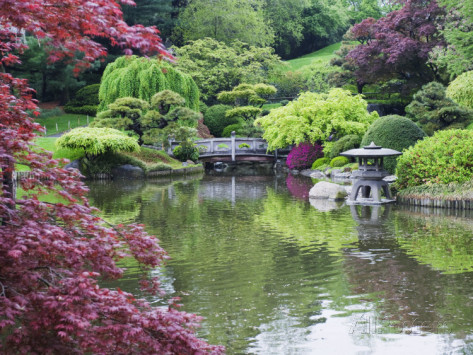 japanese-botanical-garden-31_14 Японска ботаническа градина