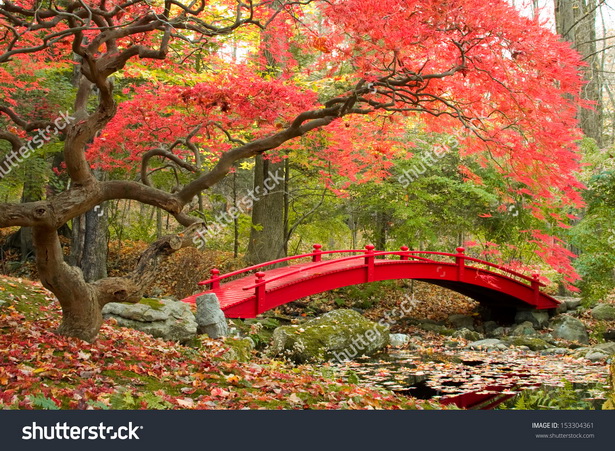 Японски мост градина