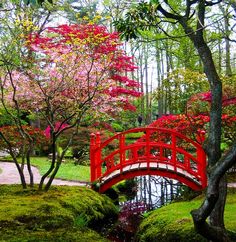 japanese-bridge-garden-42_16 Японски мост градина