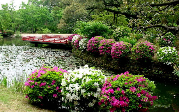 japanese-flower-garden-43_19 Японска цветна градина