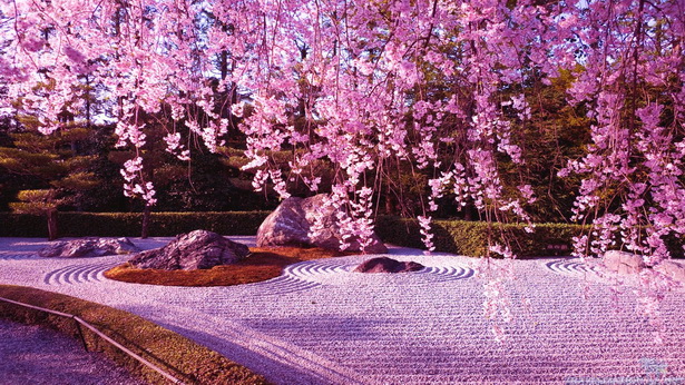 japanese-flower-garden-43_9 Японска цветна градина