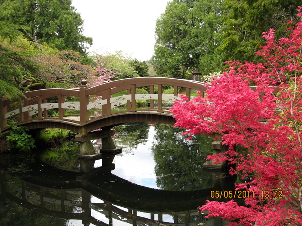 japanese-garden-bridge-08_3 Японски градински мост