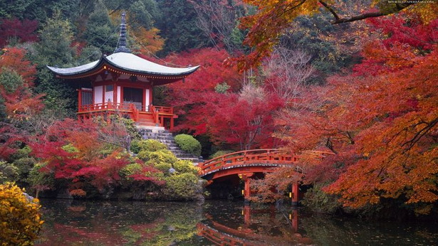 japanese-garden-bridge-08_6 Японски градински мост