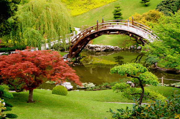 japanese-garden-design-plants-86_7 Японски градински дизайн растения