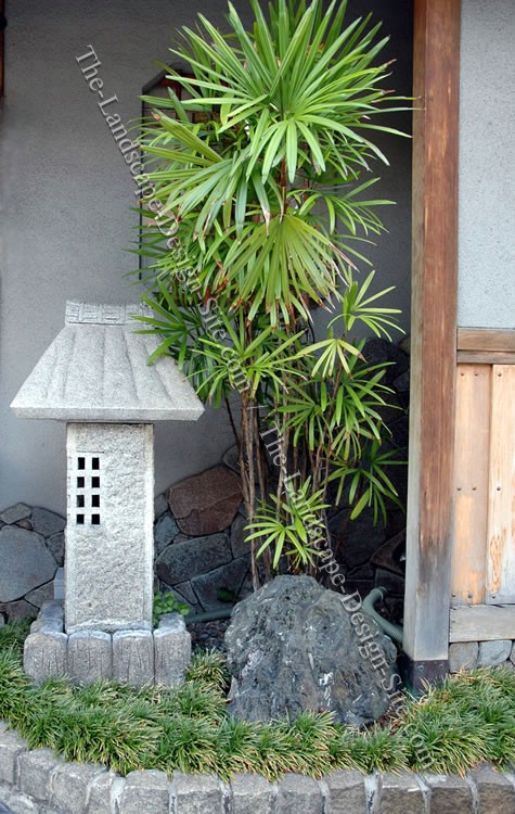 japanese-garden-design-plants-86_9 Японски градински дизайн растения
