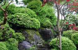japanese-garden-evergreens-11_12 Японска градина евъргрийни
