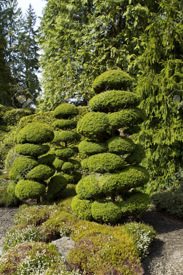 japanese-garden-evergreens-11_16 Японска градина евъргрийни