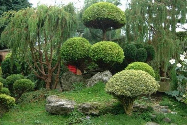 japanese-garden-evergreens-11_19 Японска градина евъргрийни