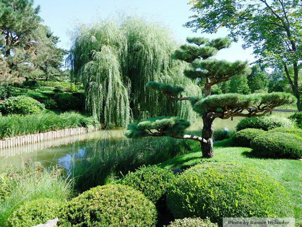 japanese-garden-evergreens-11_3 Японска градина евъргрийни