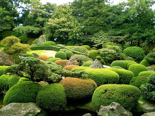 japanese-garden-evergreens-11_7 Японска градина евъргрийни