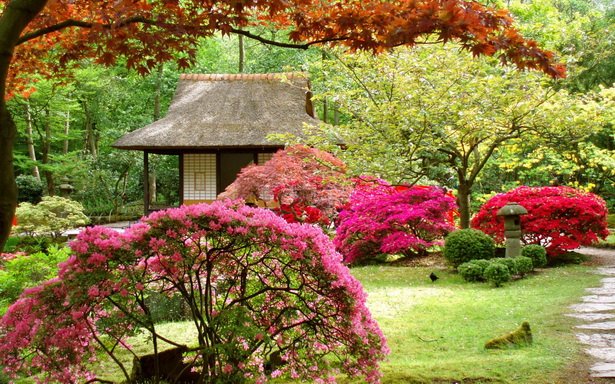 japanese-garden-flowers-81 Японски градински цветя