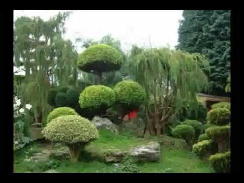 japanese-garden-for-small-backyard-78_15 Японска градина за малък двор