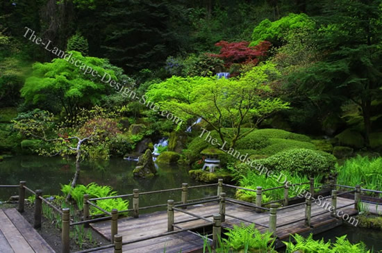 japanese-garden-ideas-plants-29_5 Японски градински идеи растения
