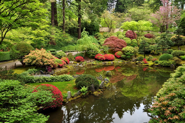 japanese-garden-images-80_12 Японски градински снимки